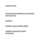 Proyecto final Psicologia del aprendizaje en distintos grupos etario