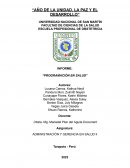 Informe: “Programación en salud”