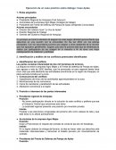 Ejecución de un caso práctico sobre diálogo: Caso Aplao