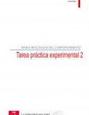 Implicaciones prácticas de la teoría de organización funcional cerebral de Luria