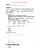 Taller tripas naturales