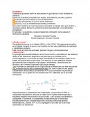 La gluconeogénesis