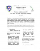 Reino de los Protozoarios
