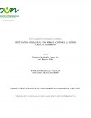 Estado, formación politica y administrativa