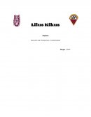 Lilus Kikus Solución de Problemas y Creatividad