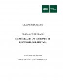 Las minorías en las sociedades de responsabilidad limitada