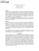 Informe tecnico ambiental Georesources INC