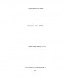 Solucion caso practico Unidad 3