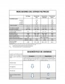Indicadores del estado nutricio