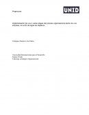 Implementación de una o varias etapas del proceso organizacional dentro de una empresa, con el fin de lograr los objetivos