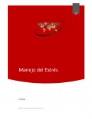 Fuentes de generación de estrés