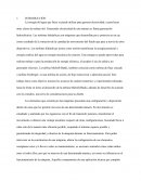 La turbina Michell-Banki