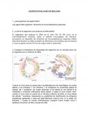 Ejercicio evaluado de biologia