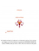 Citologia Cervicauterina