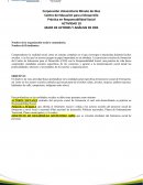 Práctica en Responsabilidad Social