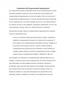 Fundamentos Del Comportamiento Organizacional