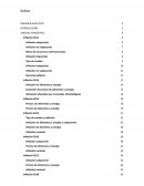 Inflacion. Análisis estadístico