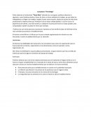 Consultora “The Bridge”