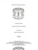 BRIEF publicitario Leptomanía