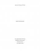 Apreciación Violencia En Pareja