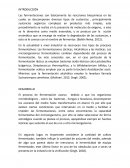 El proceso de fermentación