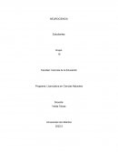 Neurociencia