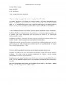 Escasez, elecciones, incentivos