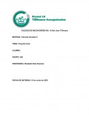 Proyecto final ciencias Sociales