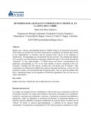 Diversidad de arañas en un bosque seco tropical en la Zona Del Caribe