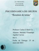 Temas de psicodinamicas de grupos