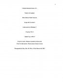 Practica NO. 4 “¡Hola! Soy el DNA”