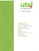 Desempeño de los trabajos en equipo en una organización