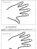 Actividad: Canta la canción “ Los deditos de la mano” y pinta y decora las uñas