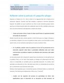 Reflexión sobre la película «El pequeño salvaje»