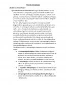 Final antropologia