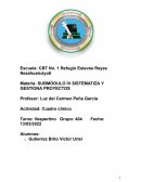 Sistematiza y gestiona proyectos