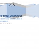 Caso practico Dromer laminados