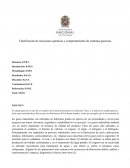 Clasificación de reacciones químicas y comportamiento de sistemas gaseosos