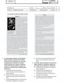 Quiz #1 Lengua castellana