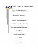 Cultura Organizacional . Analisis pestel