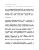 Ingeniería del proyecto