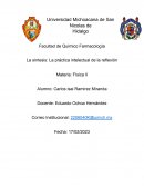 La síntesis: La práctica intelectual de la reflexión