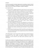 Práctica Profesional abogado