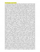 Arata Efemérides y actos Escolares