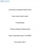 Analisis pelicula El arte de llorar en coro