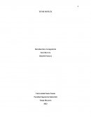 Producto tenis duplex