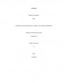 Sistemas de información gerencial . Fundamentos