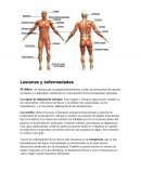 Anatomia, Lesiones y enfermedades