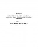 Distribucion de velocidad en un canal y obtención de los coeficientes de coriolis y boussinesq