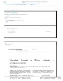 Mineralogía Avanzada en México: resultados e investigaciones futuras